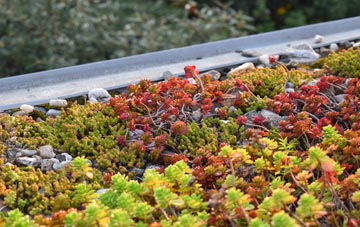the cost of Spetisbury green roof installation