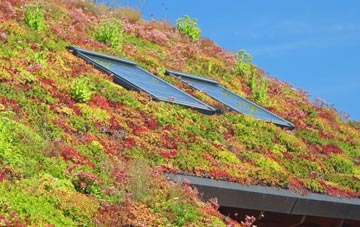 Spetisbury living roof systems