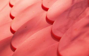 Spetisbury plastic roof costs