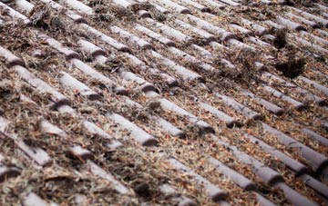 Spetisbury roof cleaning companies