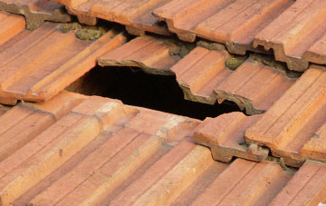 roof repair Spetisbury, Dorset