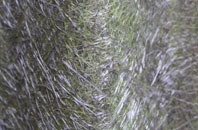 Spetisbury fibreglass roof work